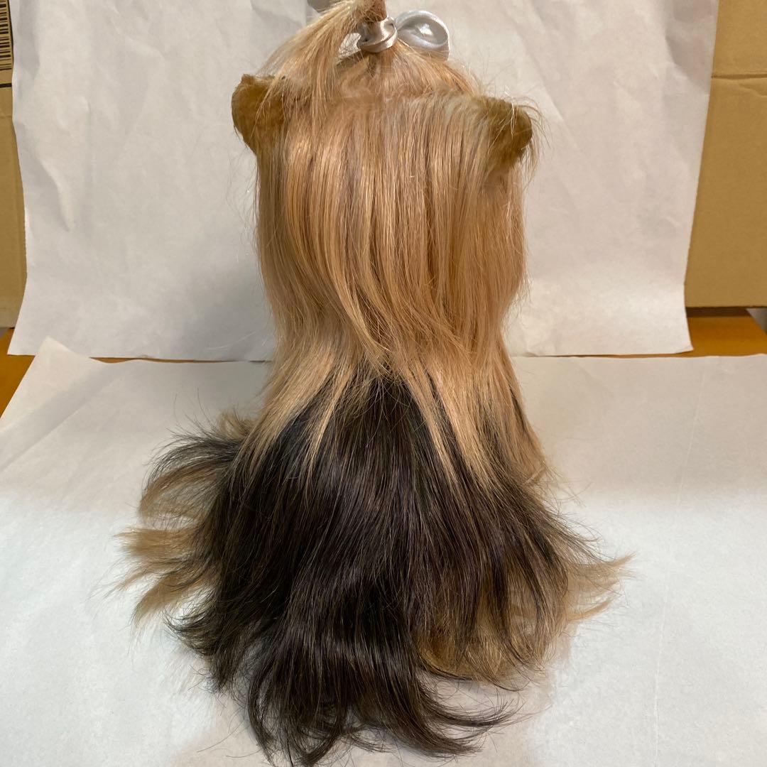 フォンテーヌ ドレッシーペット ヨークシャテリア - メルカリ