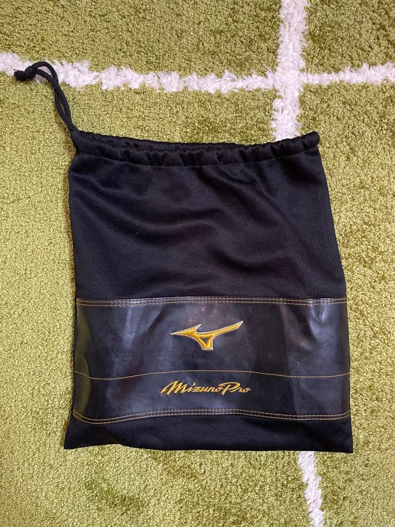 千葉ロッテマリーンズ 大谷智久選手 実使用グローブ - 記念グッズ最高 の