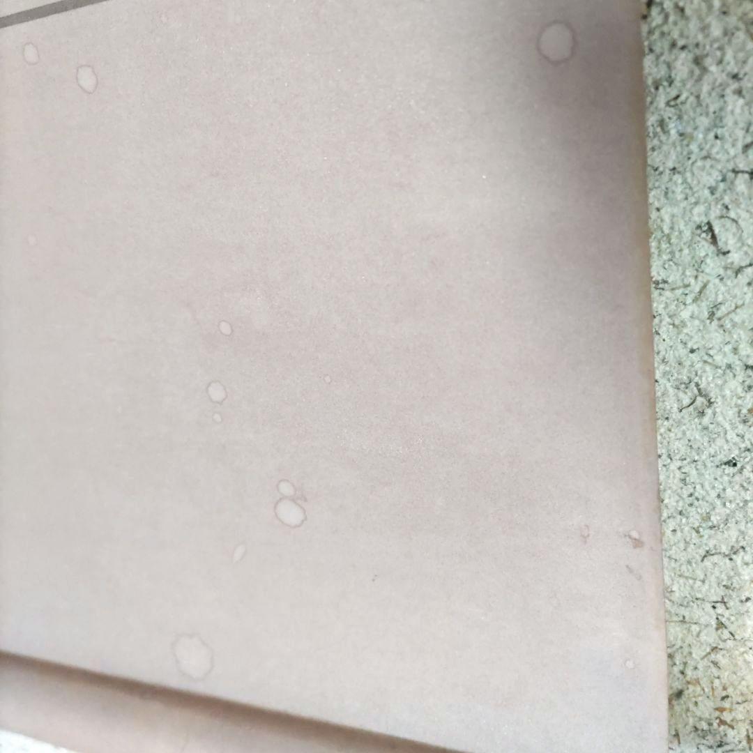 糟谷磯丸 書掛軸 H74