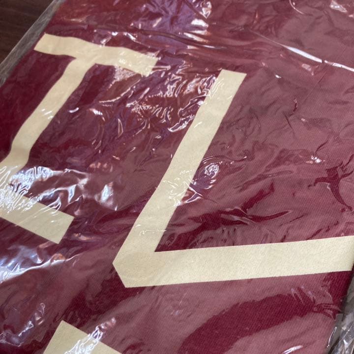 【新品未開封】会場限定！ 三重 エレファントカシマシ エレカシ Tシャツ グッズ