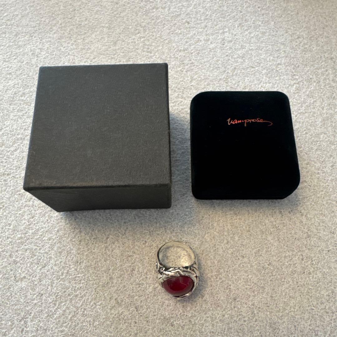 ミュージシャン Vamprose THE APPLE - SILVER -