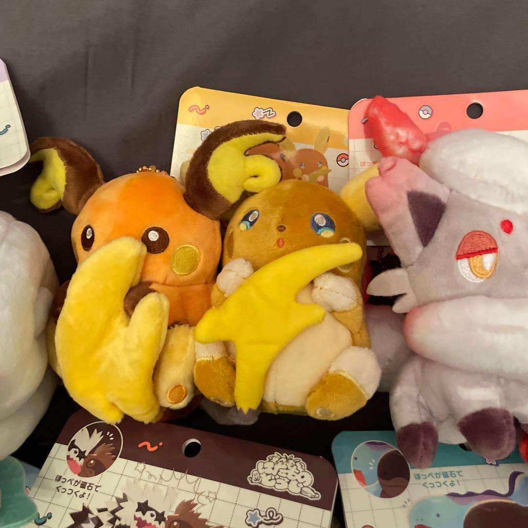 磁石でくっつくペアマスコット にたものどうし ポケモンセンター 6種