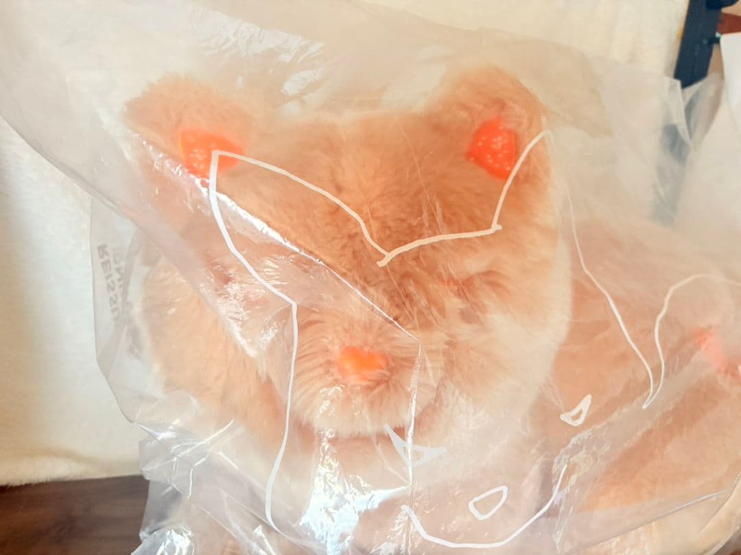 米津玄師 リイシューねこちゃん Grande おまけ付き 5枚目 - メルカリ