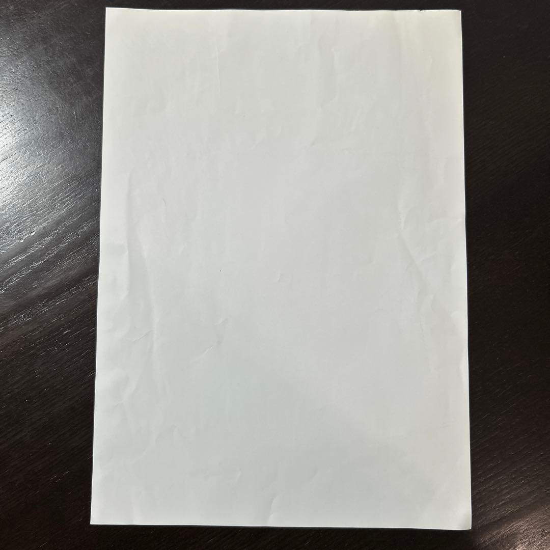 Aimer ライブ　グッズ -nuit immersive- Tシャツ　タオル