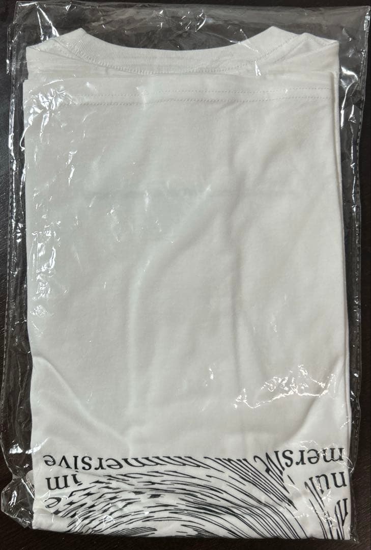 Aimer ライブ　グッズ -nuit immersive- Tシャツ　タオル