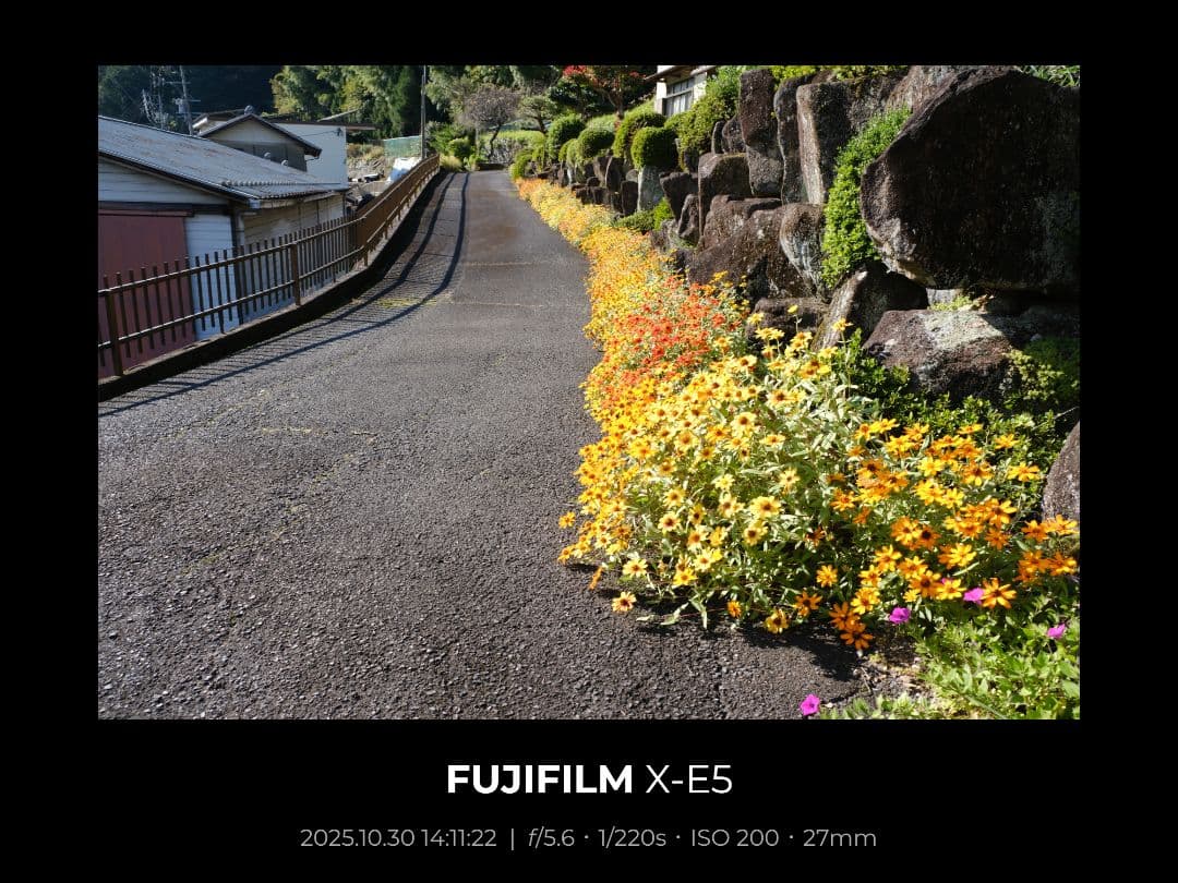 フジノンレンズ XF18-55mmF2.8-4 R LM OIS