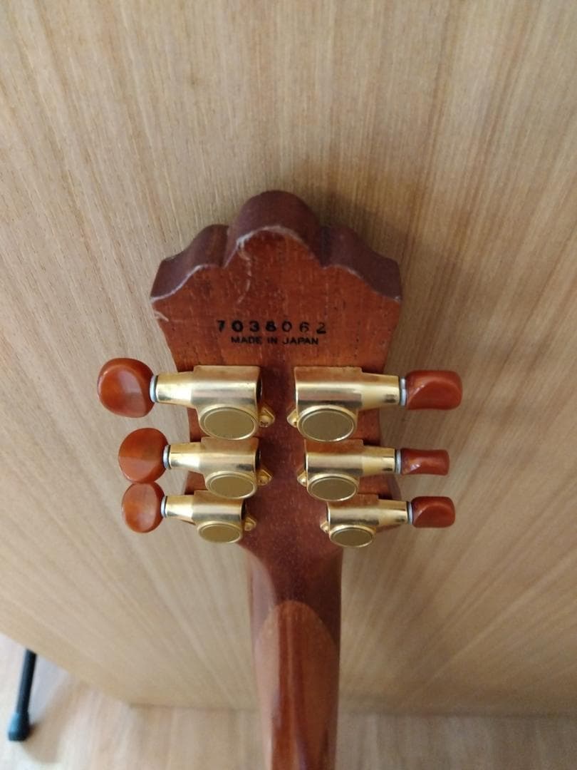 FUJIGEN フジゲン F&C Anboy AF-55C Ashfield