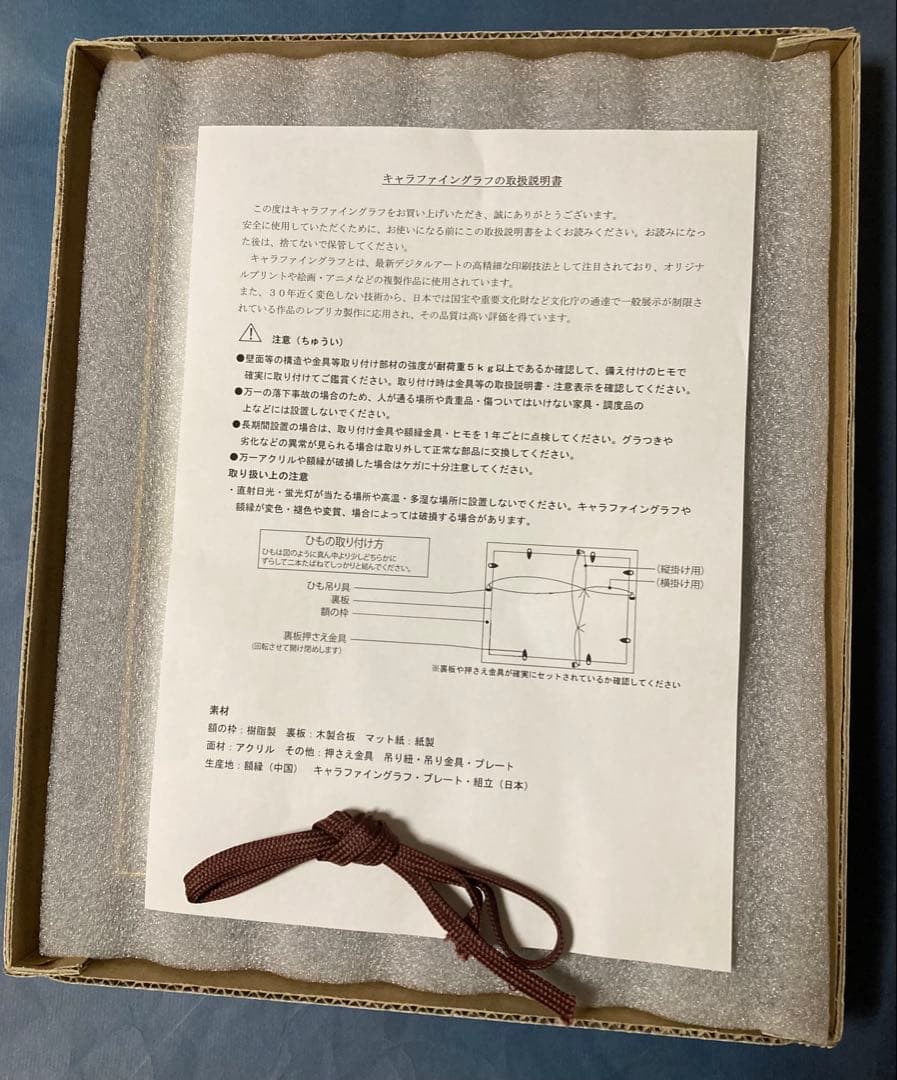 らんま1/2 キャラファイングラフA4