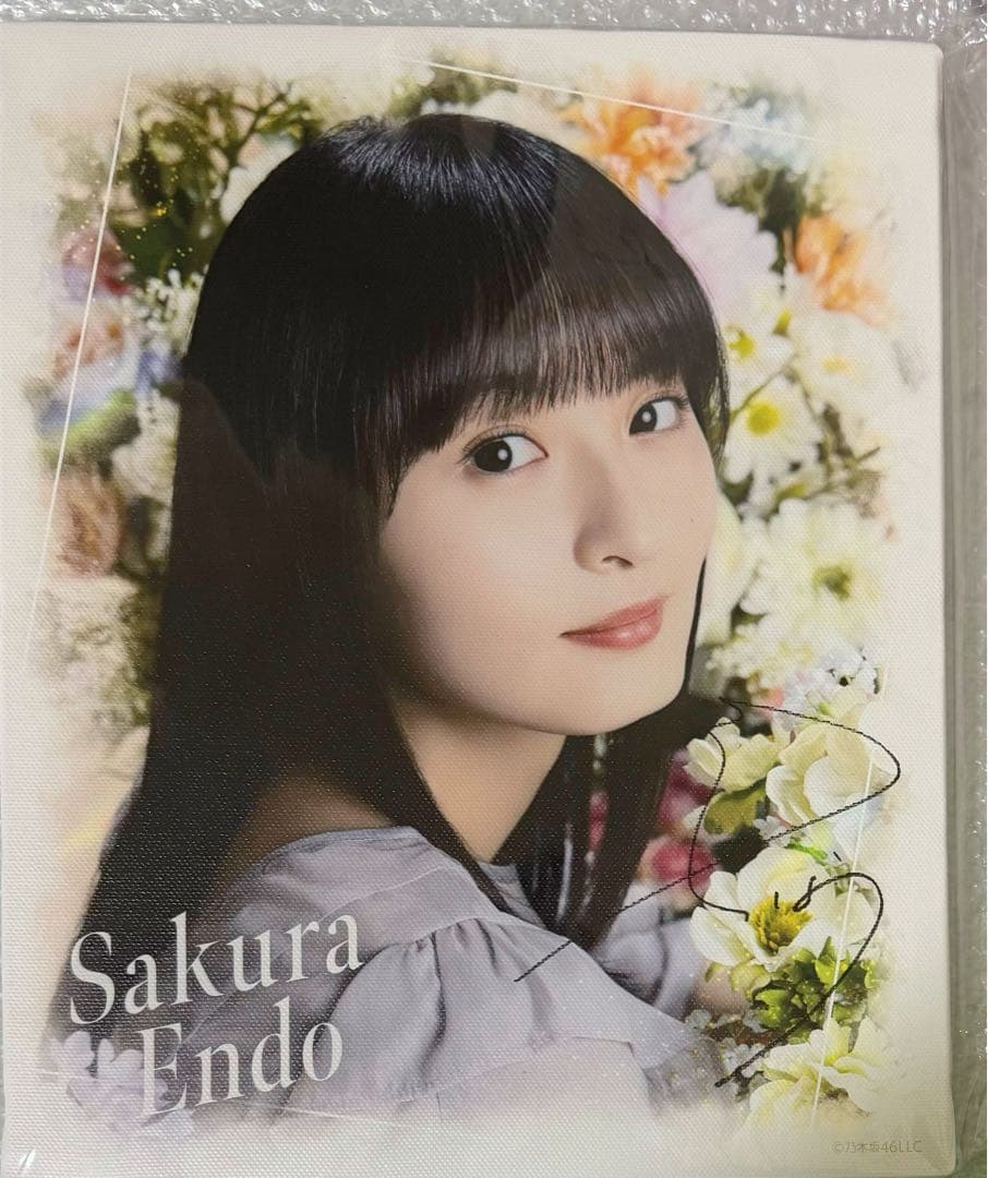 遠藤さくら のぎboxS賞 キャンバスボード BloomingFairyTown 乃木坂46 遠藤さくら1st写真集の書店限定特典ポストカード＆ポスターの