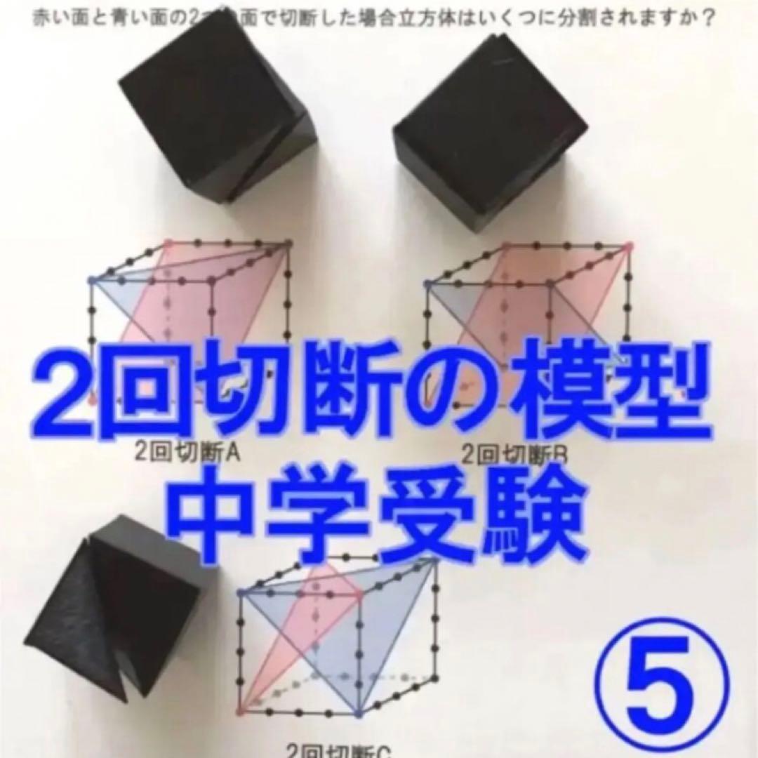 立体の切断模型 ①②③④⑤⑥⑦⑧⑨⑩セット - メルカリ