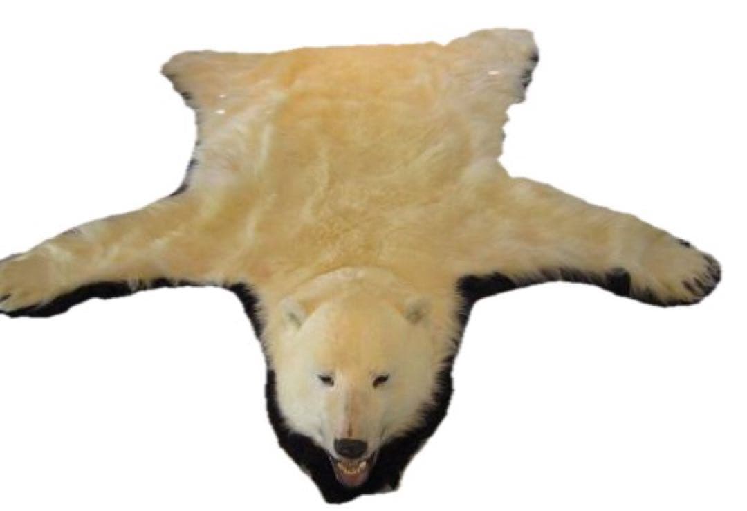 希少⭐︎‼︎ 白熊 剥製 カーペット - メルカリ