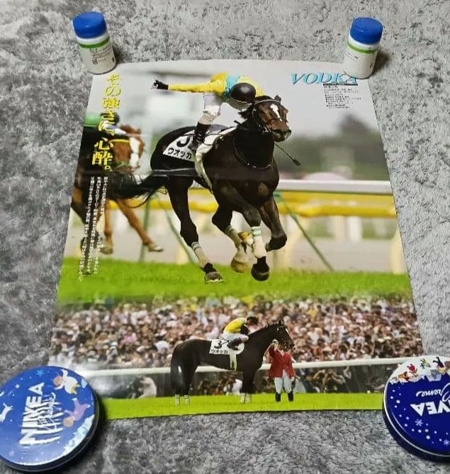 非売品】JRA ヒーロー列伝 B3 ポスター うま娘 ウオッカ - メルカリ