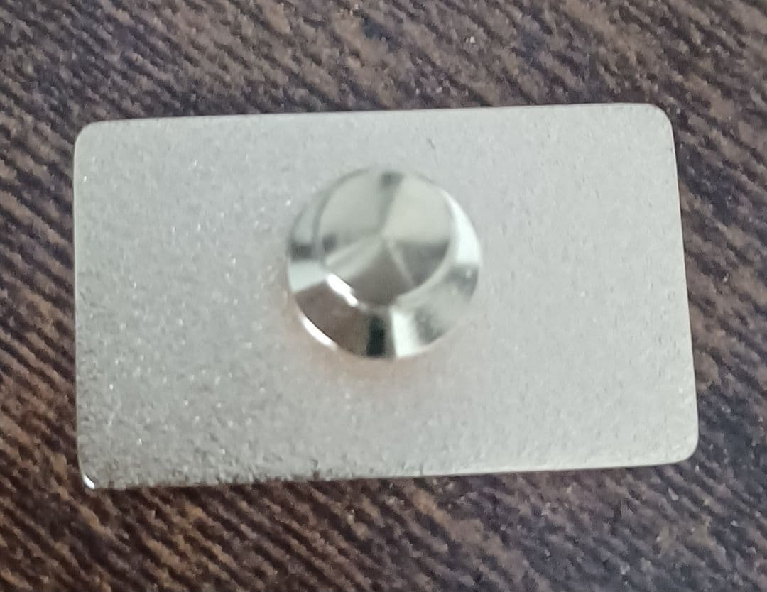 VIPフランス エキスポ2025 ピンバッジ