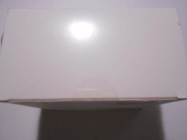 うまるちゃん ねんどろいど ネコロンブスカラー ver