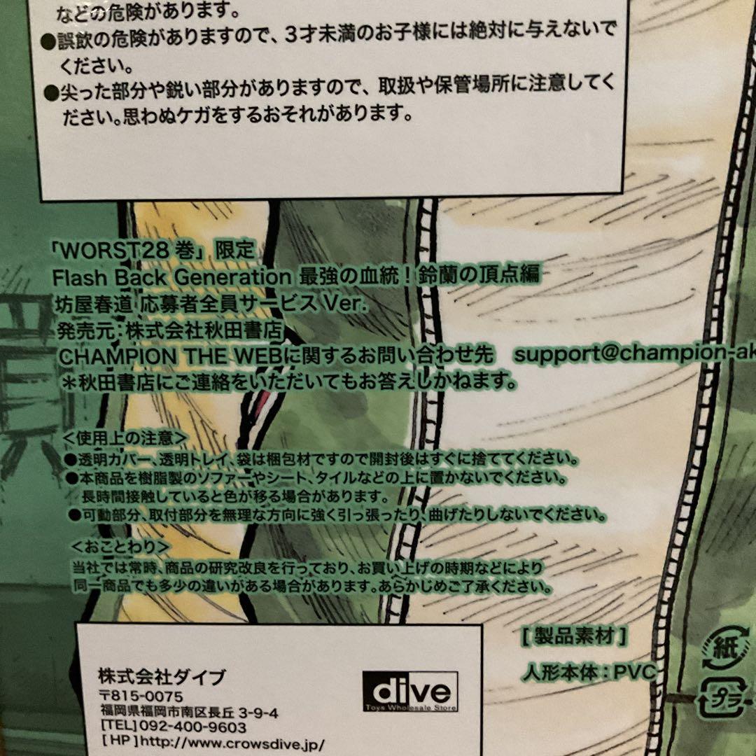 クローズ&WORST 28巻限定　FBG 坊屋春道