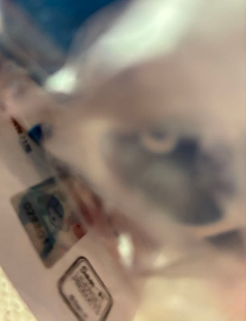 リラックマ＆コリラックマ【ホログラムシール有り正規品】タグ付き万博寝袋ぬいぐるみ