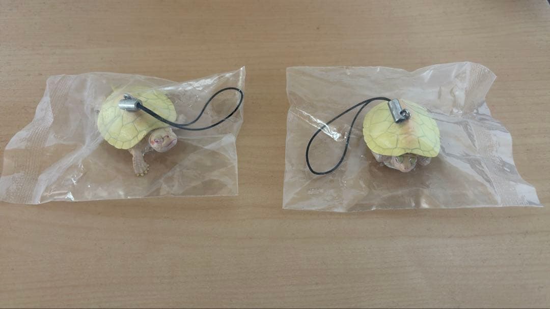 ネイチャーテクニカラー ミドリガメ アルビノ ストラップ 2匹セット