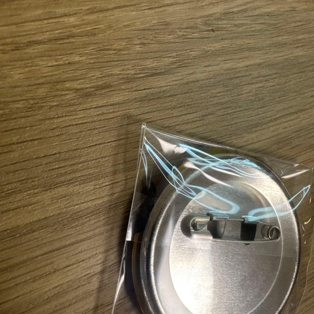 ポケモン XY カロス トレーナー 缶バッジ カルネ　メガサーナイト【4927