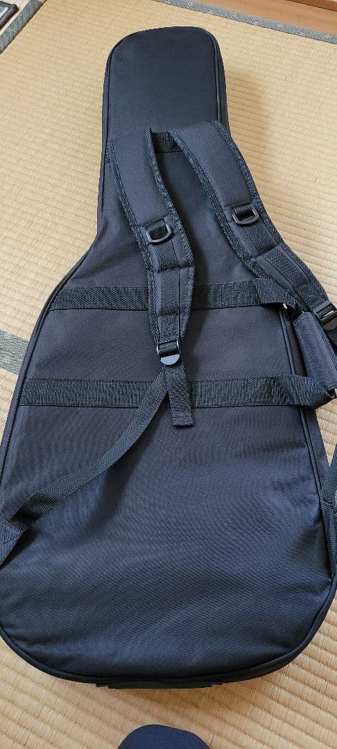 CVシリーズ テレキャスタータイプ エレキギター CV-TV/M