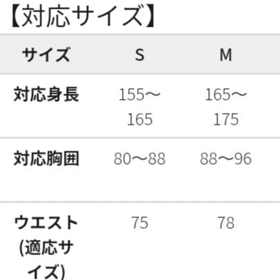 2月8日削除予定】新品タグ付き ワークマン イージス スノー Sサイズ