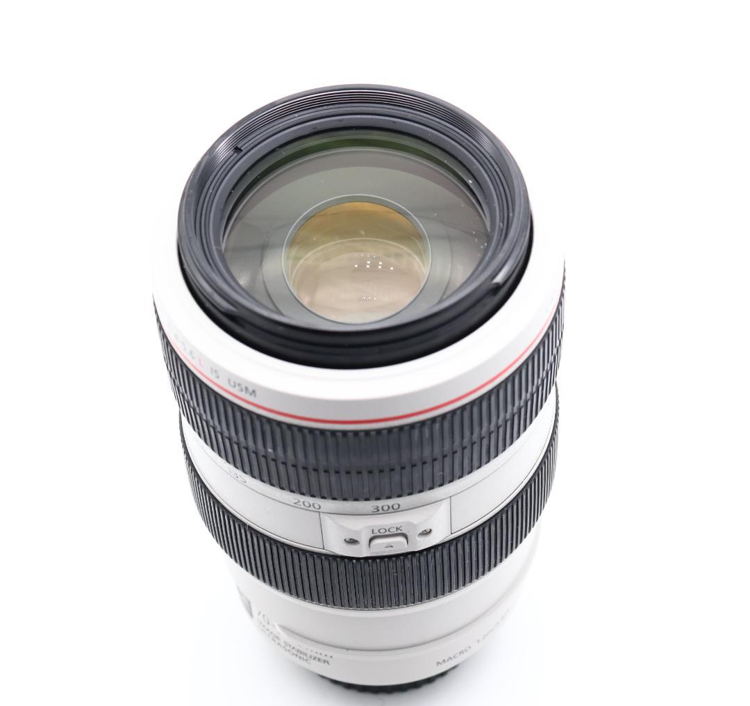 ■完動品 Canon EF 70-300mm F4.5-5.6 L IS USM