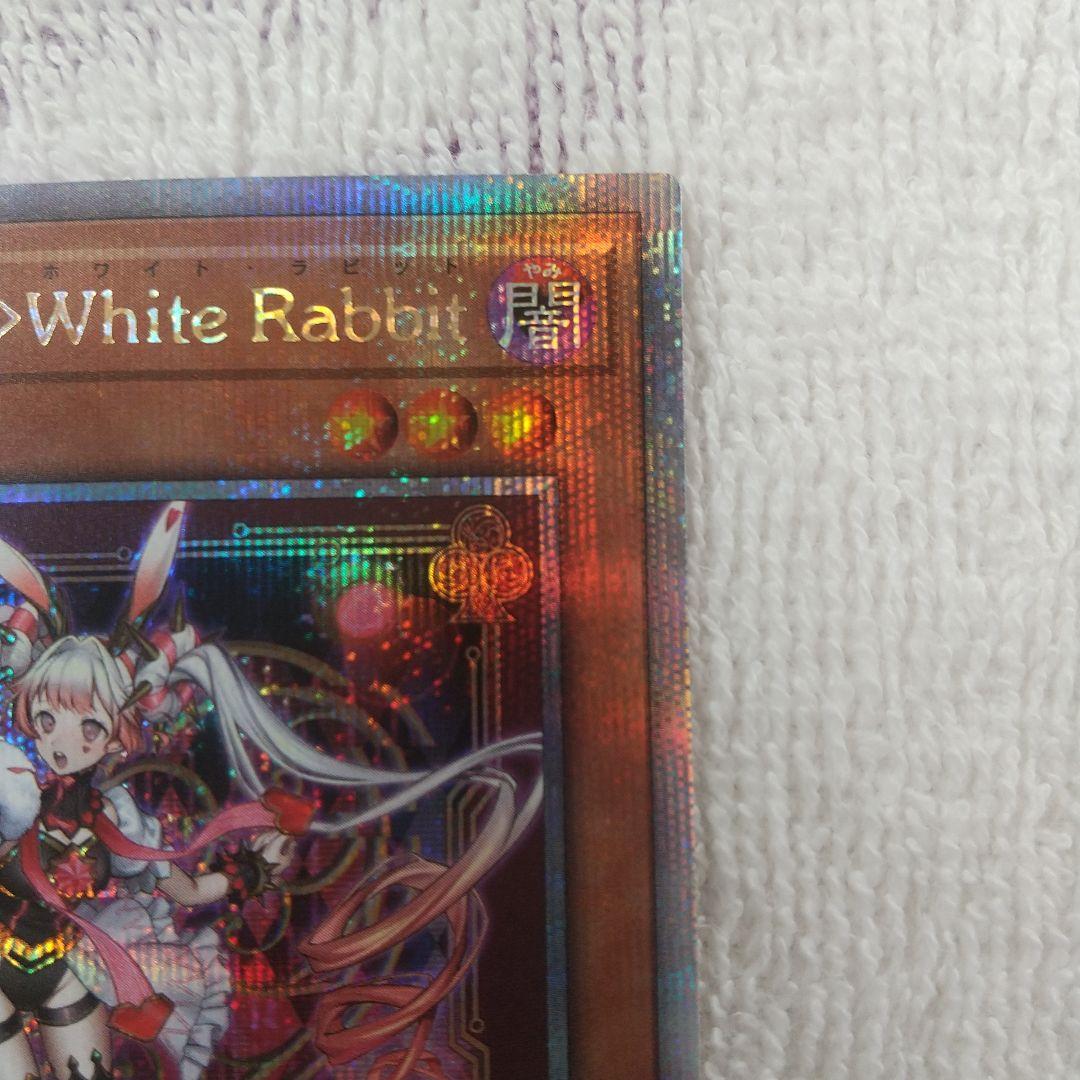 マリスポーンホワイトラビット25th