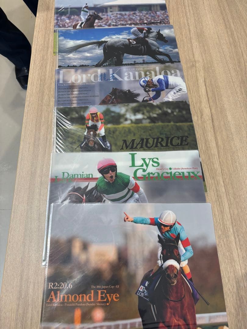 JRAクリアファイル13枚 バラ売り可能