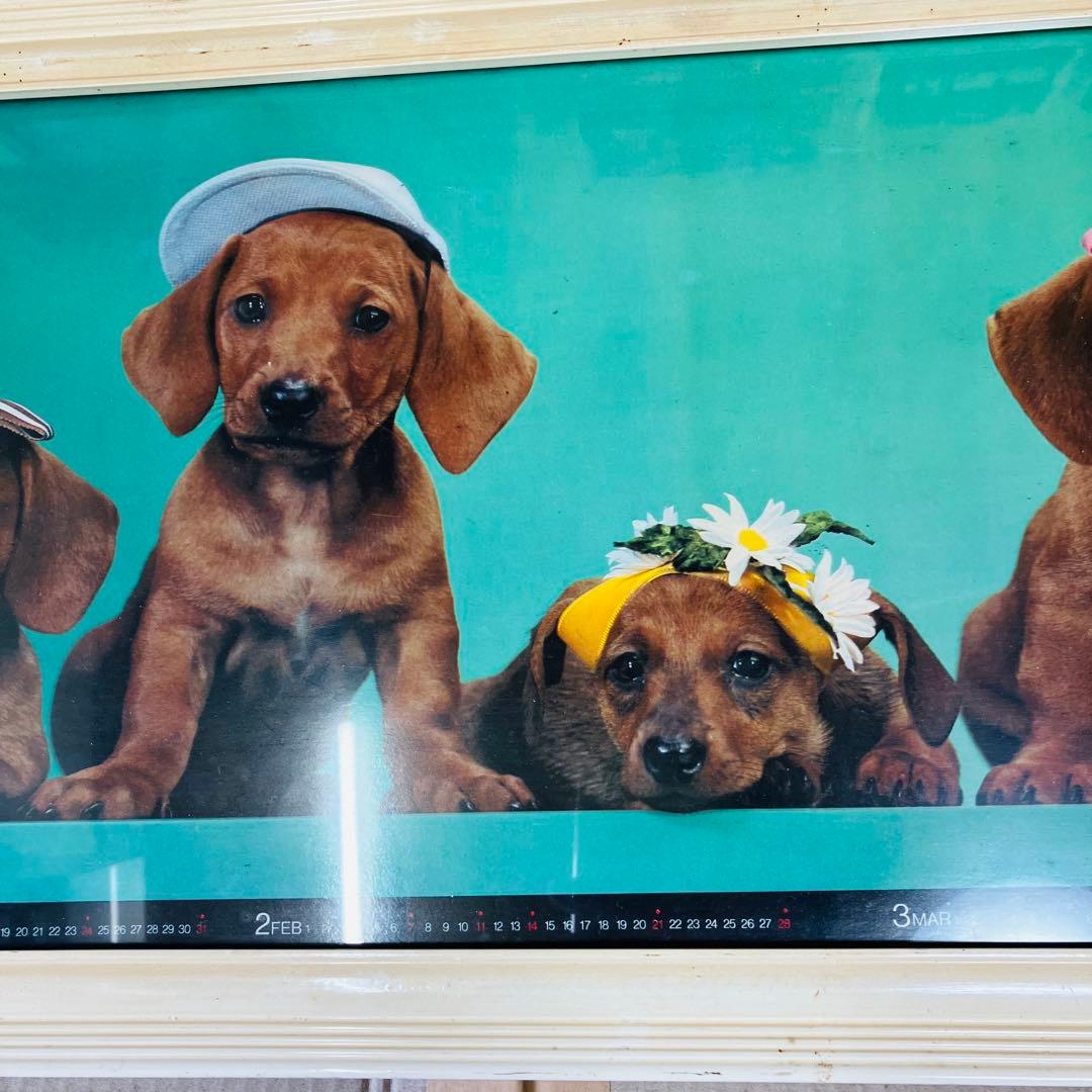 1971年当時物 フジカラー 犬 カレンダー付き 大型パネル 昭和レトロ