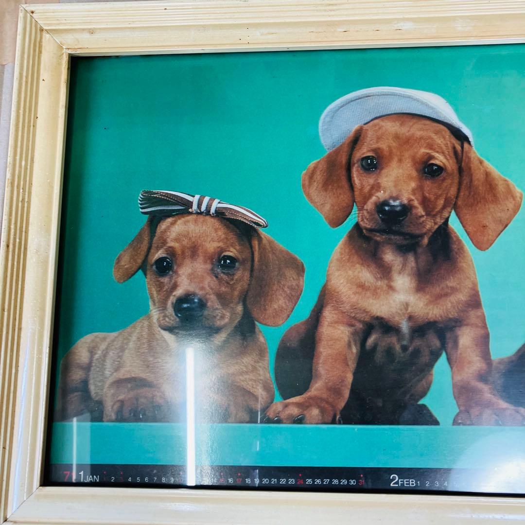 1971年当時物 フジカラー 犬 カレンダー付き 大型パネル 昭和レトロ