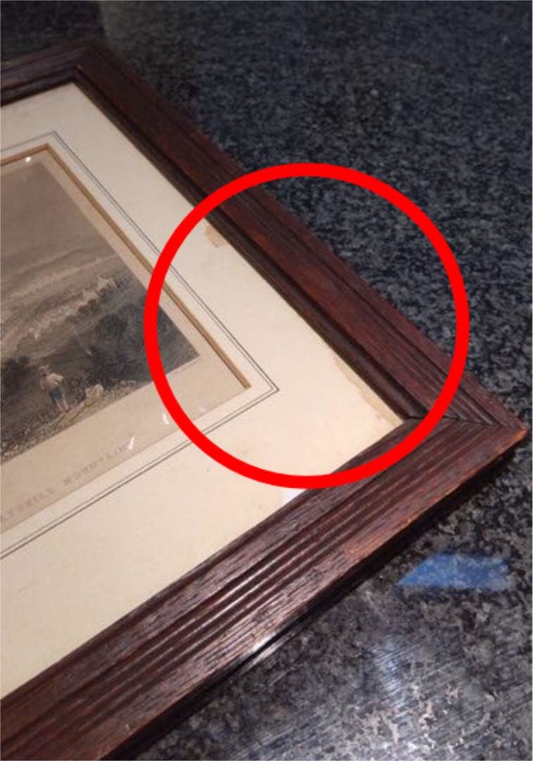 アンティーク　版画　アメリカ