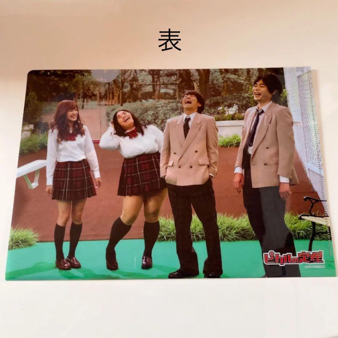 ピカルの定理 白鳥美麗物語 ファイル お笑い芸人グッズ タレント 渡辺