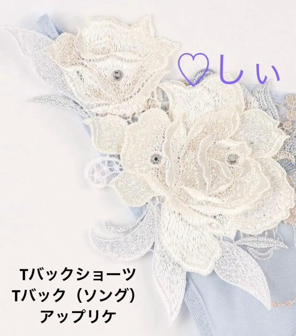 新品タグ付 サルート 24 ガーター ＆ ソング GY M 事前予約