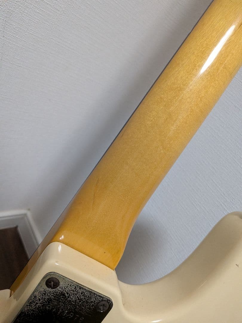 Fernandes Limited Edition ソフトケース新品弦付きます