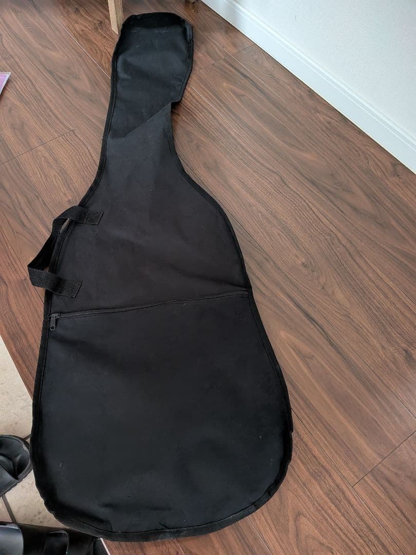 Fernandes Limited Edition ソフトケース新品弦付きます