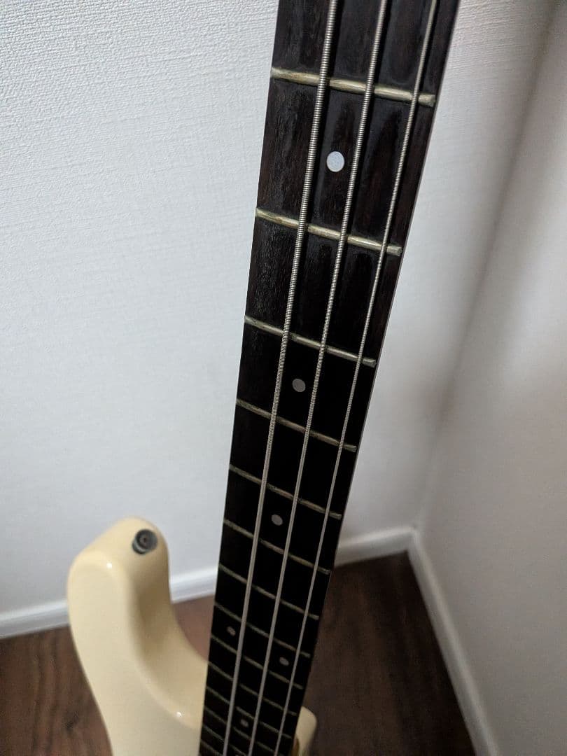 Fernandes Limited Edition ソフトケース新品弦付きます