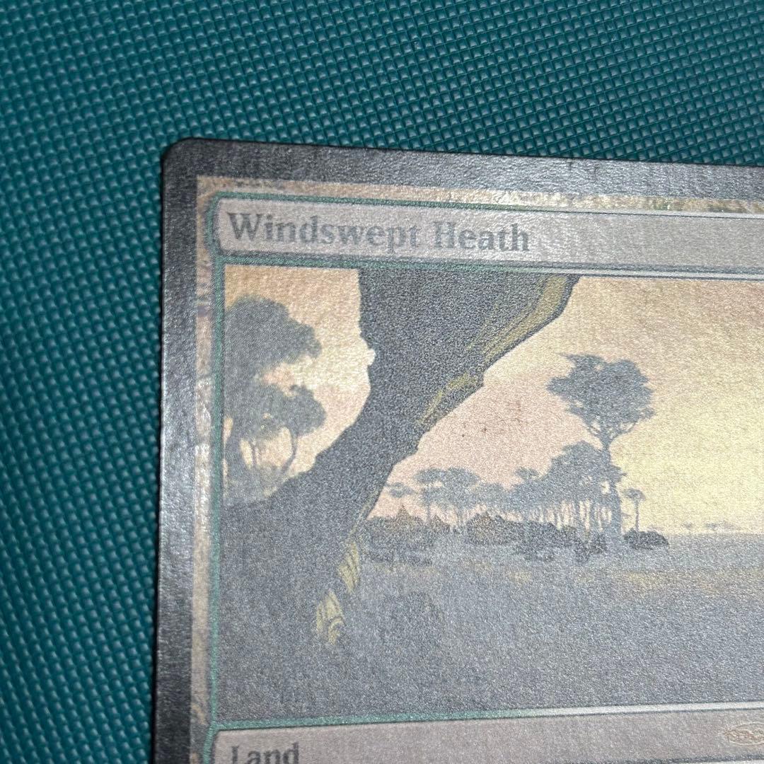 【ジャッジ褒賞Foil】《吹きさらしの荒野/Windswept Heath》英語