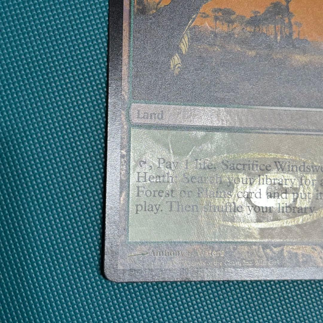 【ジャッジ褒賞Foil】《吹きさらしの荒野/Windswept Heath》英語