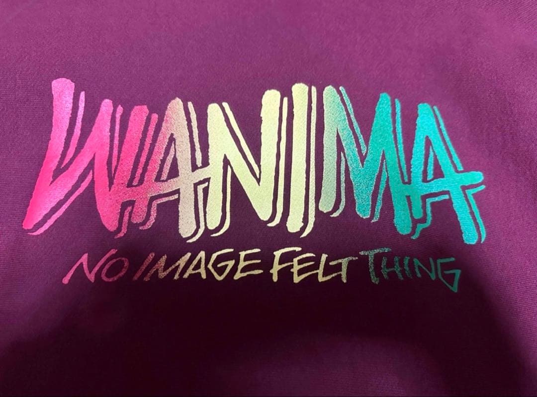 PIZZA OF DEATH ピザオブデス WANIMA パーカー L