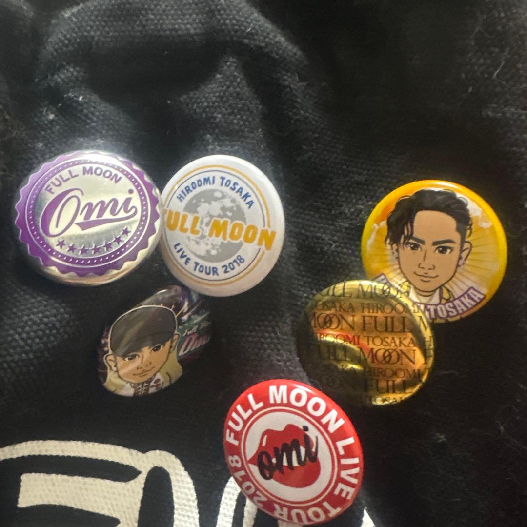 登坂広臣トートバッグ - メルカリ