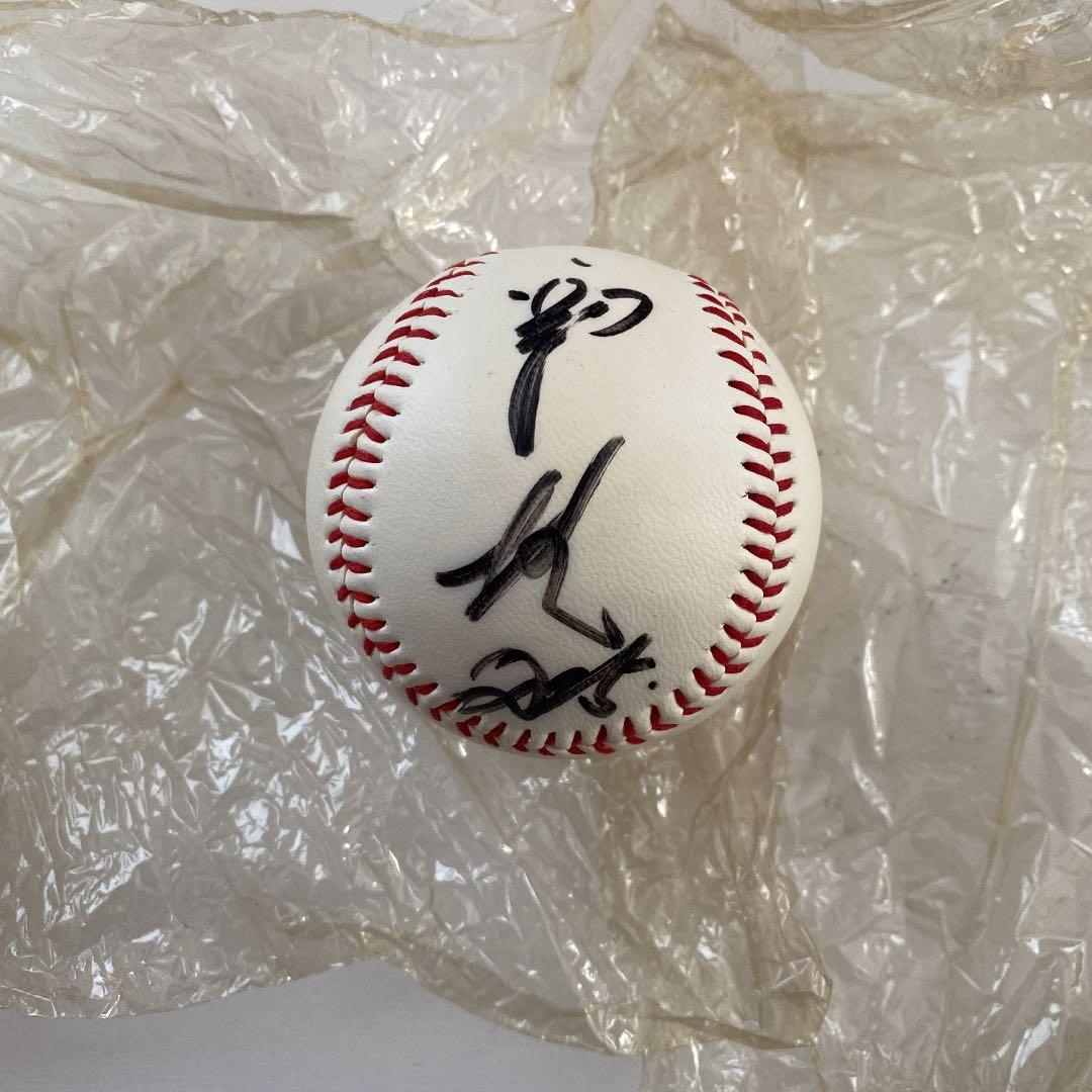 ドラゴンズ自筆サインボール 選手名はわかりませんが全部で14サイン