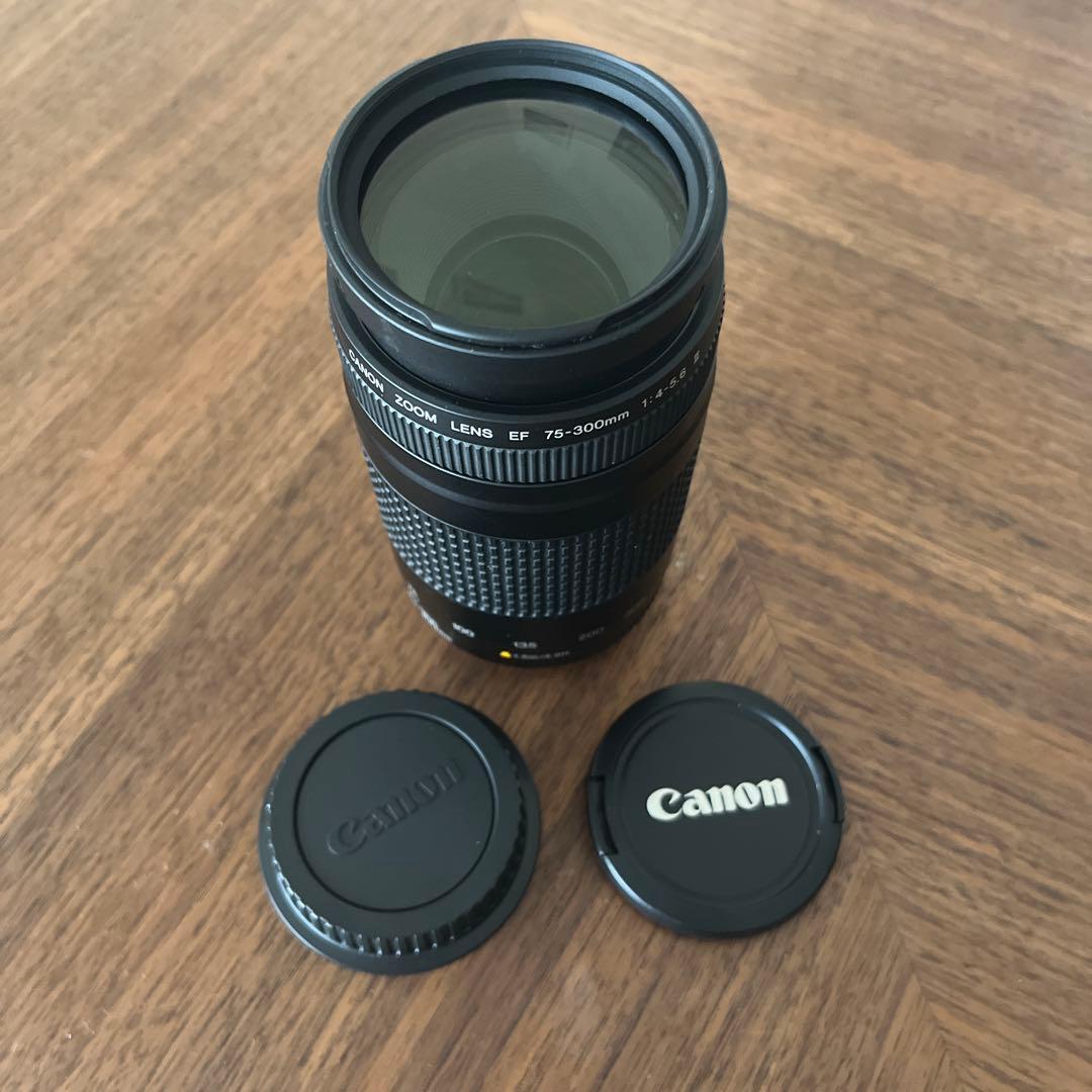 【超美品】キャノン Canon EF75-300mm F/4-5.6 II 望遠