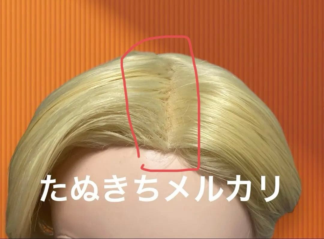 lala様専用 【特別品】 カスタム アリエル 風 ウィッグ lala様専用