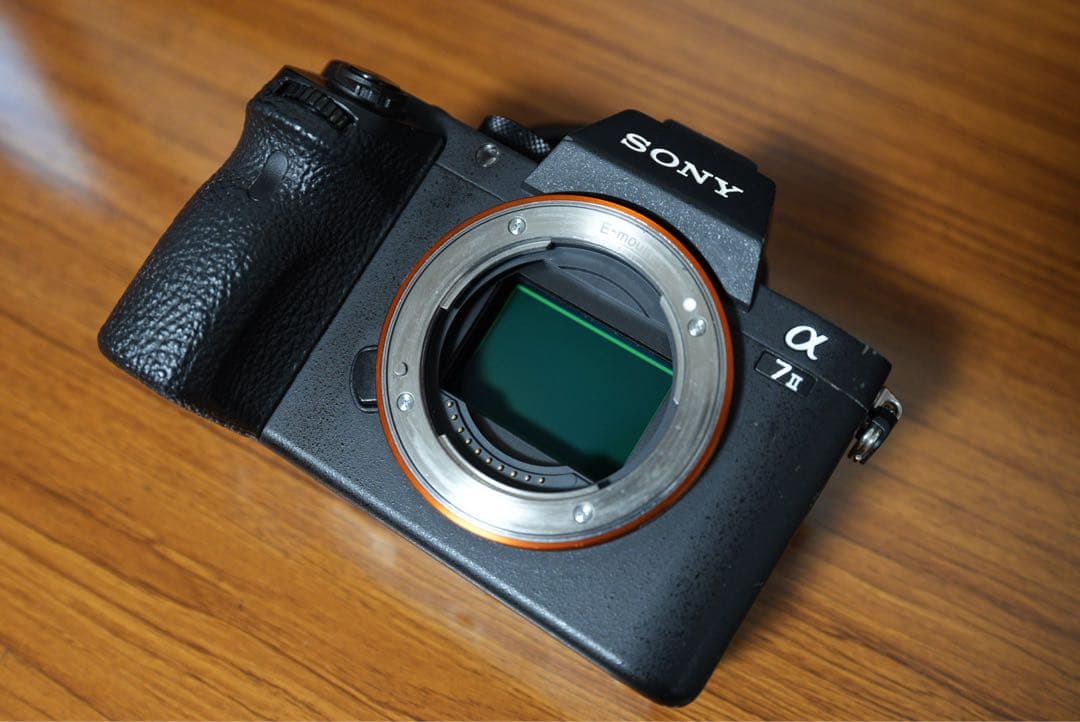 こ*ん様 Sony α7 II ミラーレス一眼 本体 81ma+vfgS+L._AC_UF350,