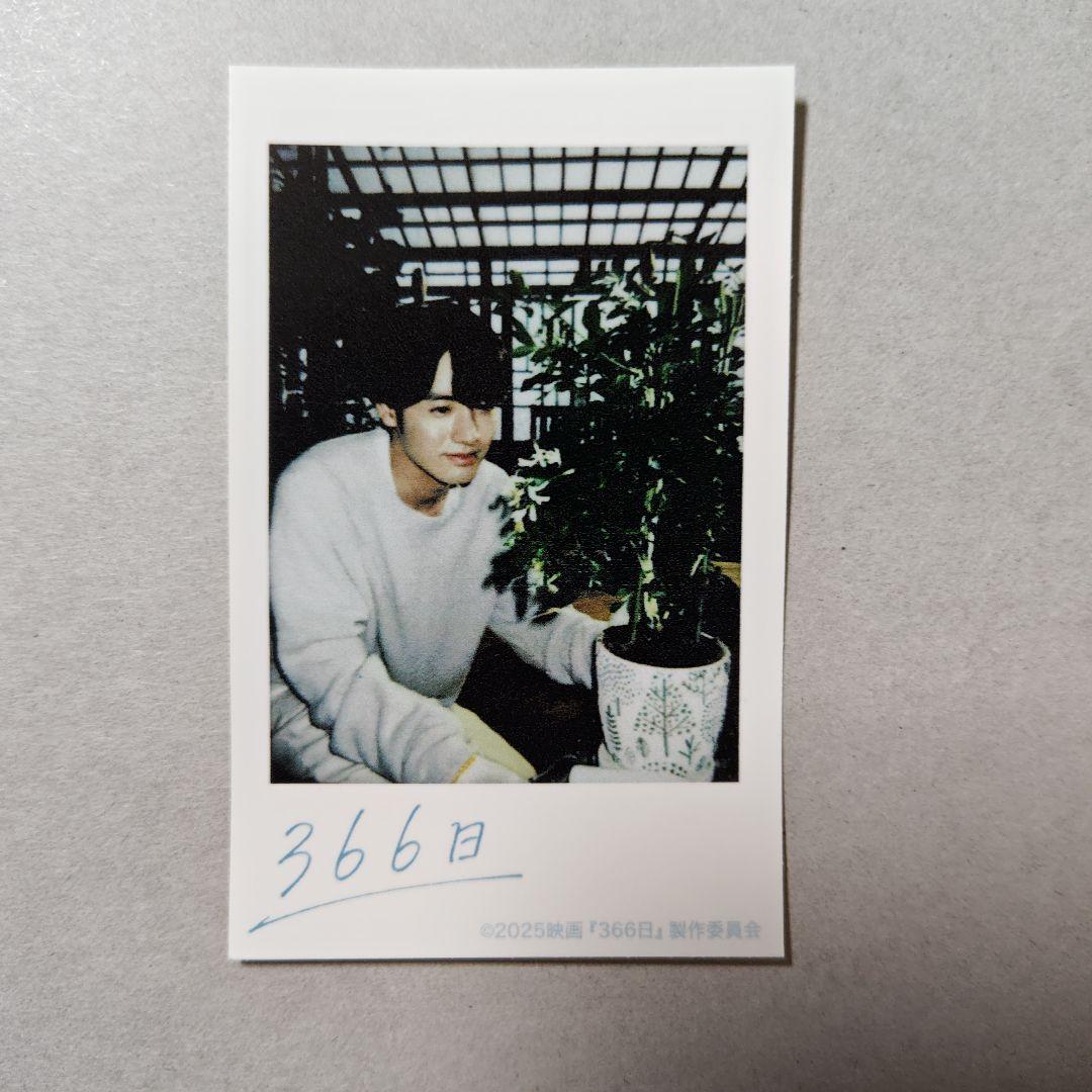 映画 366日 チェキステッカーセット より、湊( 赤楚衛二 ) 2種 未使用