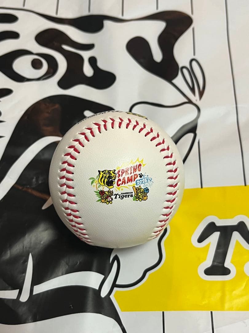阪神タイガース 中野拓夢 直筆サインボール 2026 沖縄キャンプ球