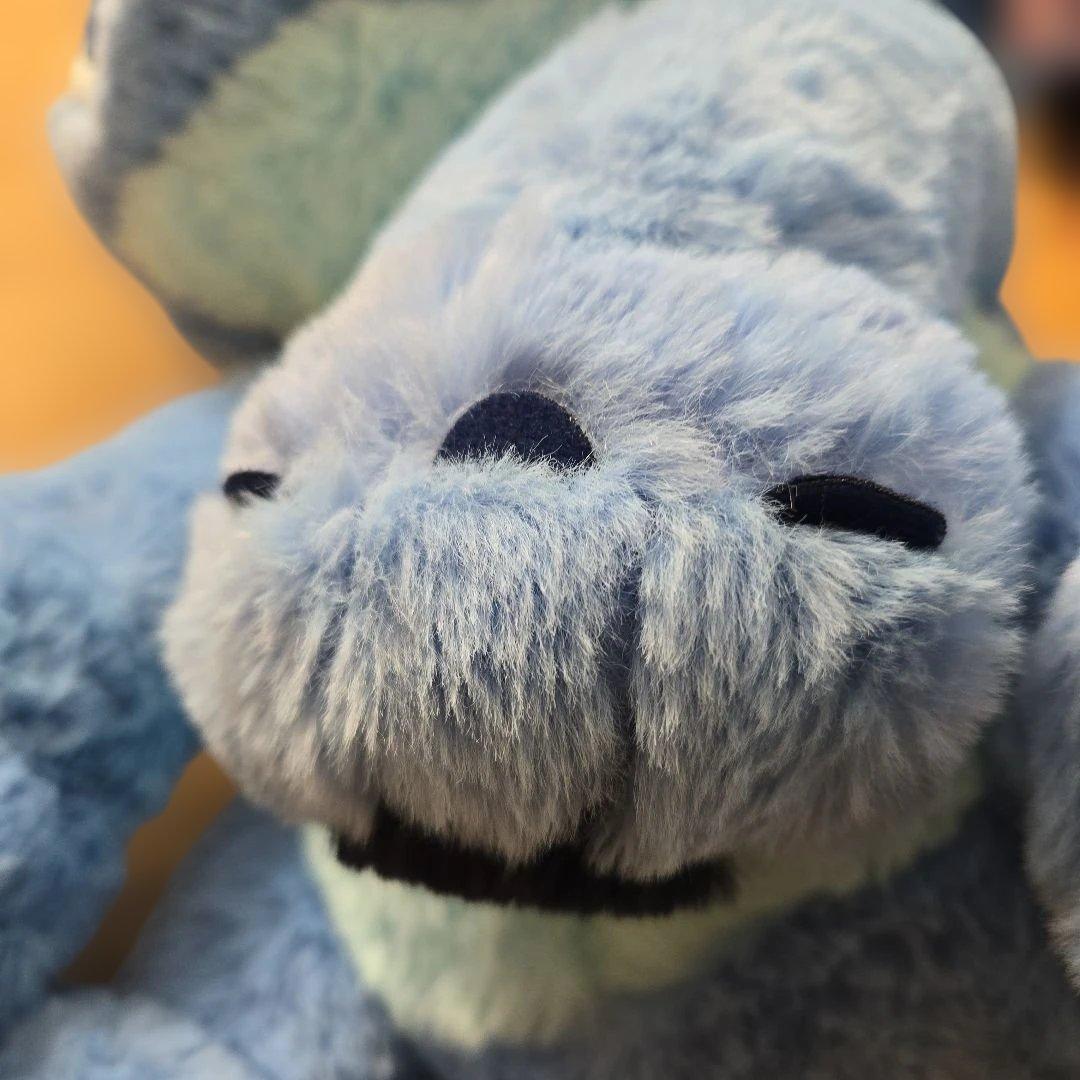 送料込】Costco上海限定 スティッチ50cmブランケット付き - メルカリ