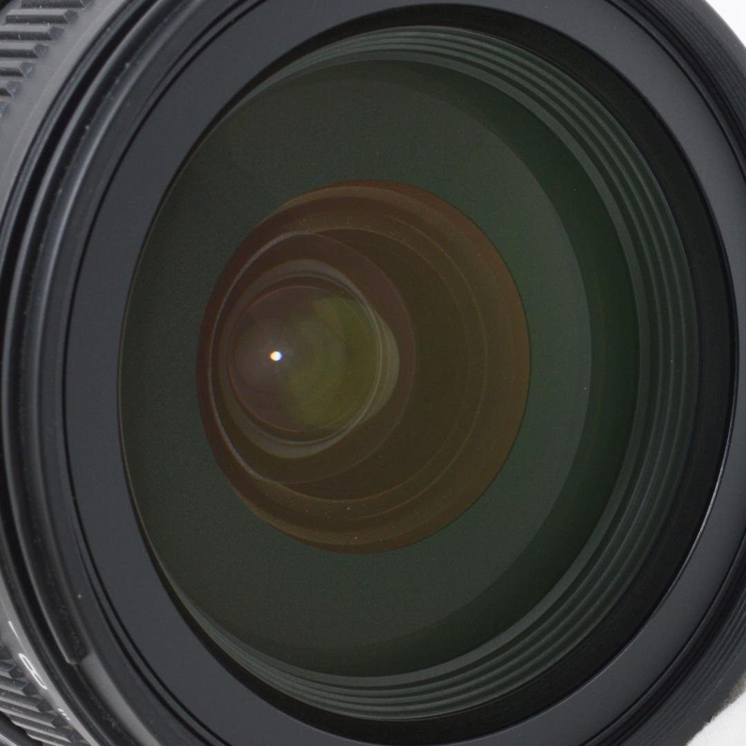 ⭐️良品⭐️SIGMA DC 17-70mm F2.8-4 HSM ソニー用