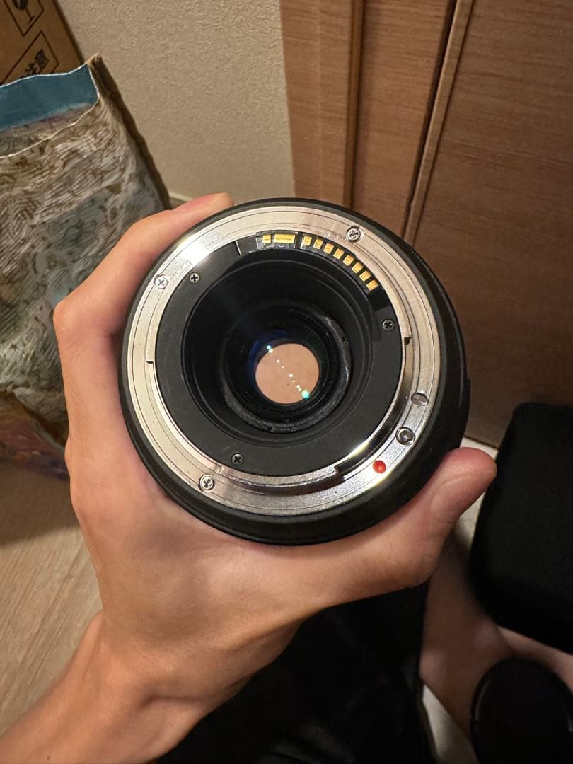 レンズ(ズーム) SIGMA 50-500mm F4.5-6.3 APO DG OS