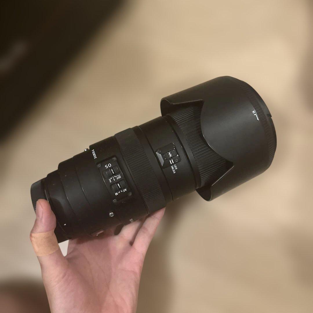 レンズ(ズーム) SIGMA 50-500mm F4.5-6.3 APO DG OS