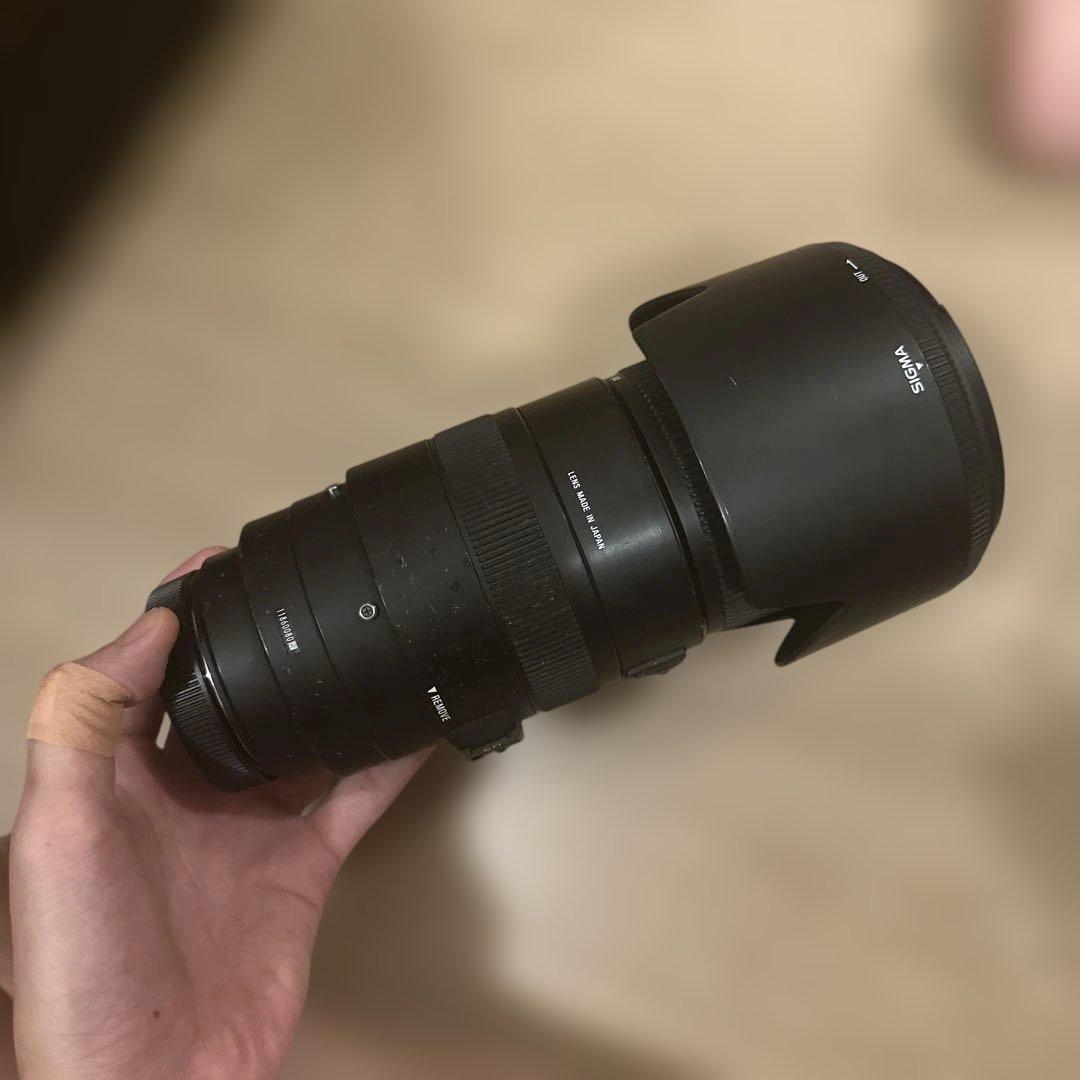 レンズ(ズーム) SIGMA 50-500mm F4.5-6.3 APO DG OS